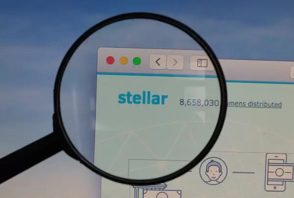 Stellar logo under magnifying glass