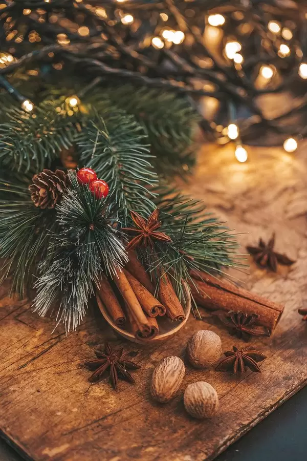 Sternanis, Zimt und Nüsse Tannenzweige und Lichterkette auf einem Holzbrett