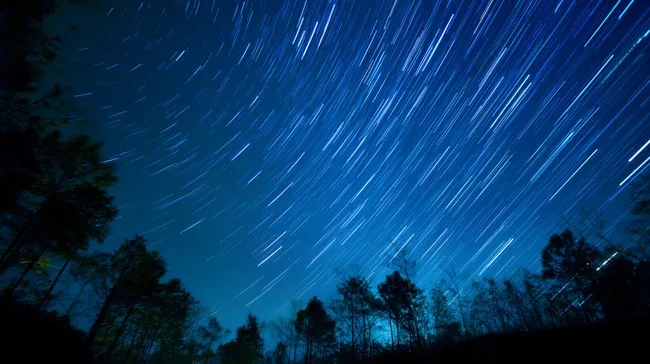 Sternenübersäter Nachthimmel über Waldlandschaft