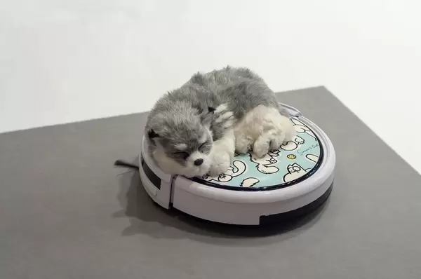 Stoffhund auf einem Staubsaugerroboter mit Simon's Cat Cartoon