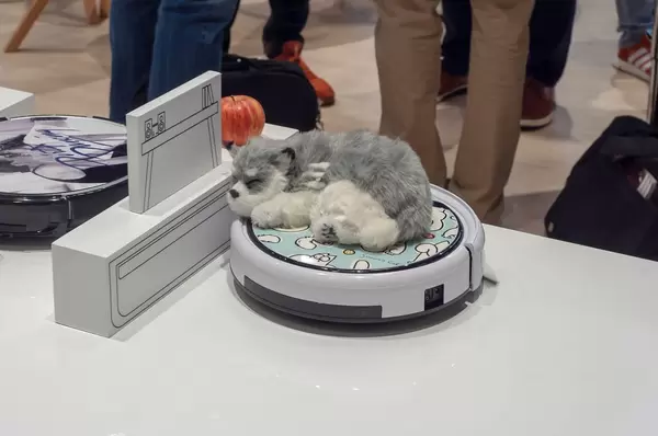 Stoffhund auf einem Staubsaugerroboter