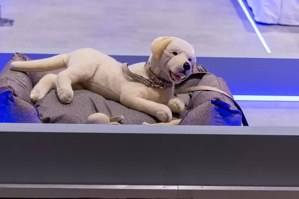Stoffhund mit Leine auf einem Hundebett