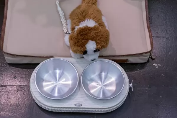 Stoffhund mit Leine sitzt in Hundebett vor Tablett mit Futter- und Wassernapf