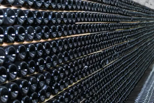 Storing champagne in the winery  (Flip 2019)