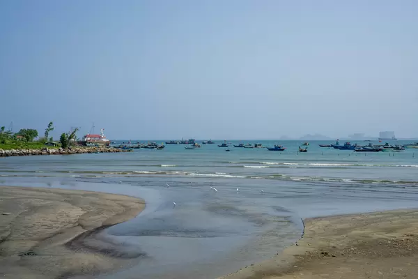 Stork Birds on a Beach with Fishing Boats in the Background in the Harbour of Da Nang, Vietnam