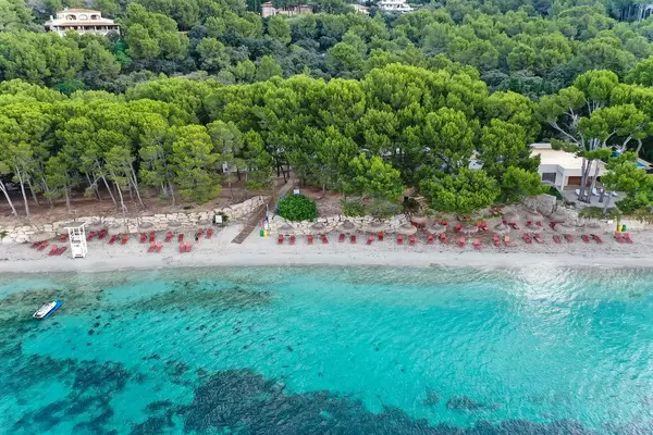 Strand mit Kiefern: Drohnenaufnahme der Playa de Formentor, Cala Pi de la Posada auf Mallorca