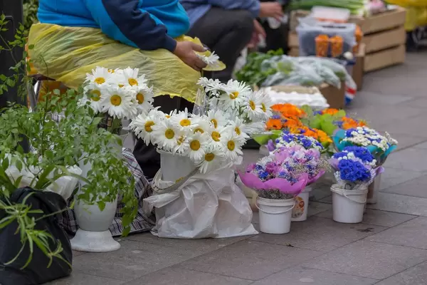 Straßenverkäuferin in Russland verkauft Blumen