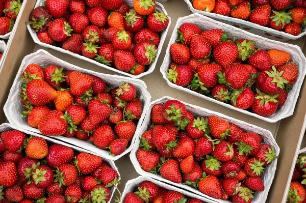 Strawberry boxes for sale (Flip 2019)