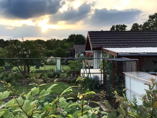 Strebergarten in Köln