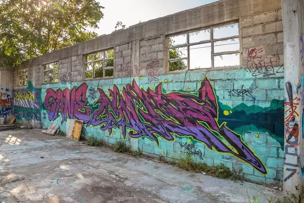 Street art, graffiti on the wall of abandoned ruin