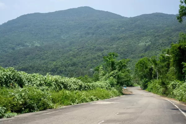 Street in the National Park on Son Tra Island with Mountains in the Background in Da Nang, Vietnam