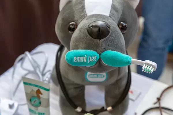 Stuffed animal with an Emmi Pet ultrasonic toothbrush for cleaning pets' teeth, at the dog fair "Hundemesse" 2019 in Cologne, Germany