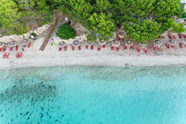 Stunning beach with Mediterranean pine trees, sun beds and Hawaii-style parasols. Playa de Formentor