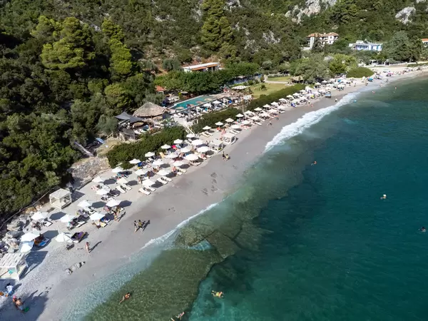 Summer holiday in Greece: Limnonari beach on Skopelos with pine trees and emerald waters