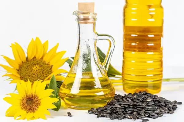 Sunflower oil is with the flowers of sunflower and grain on white background