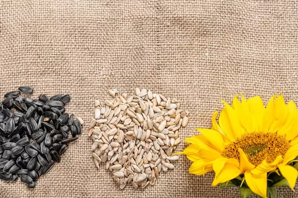 Sunflower seed kernels and whole seeds with sunflower flower on burlap background (Flip 2019)