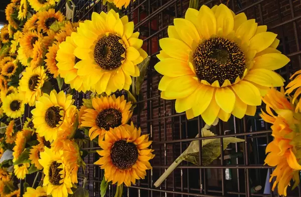 Sunflowers Wall Close Up