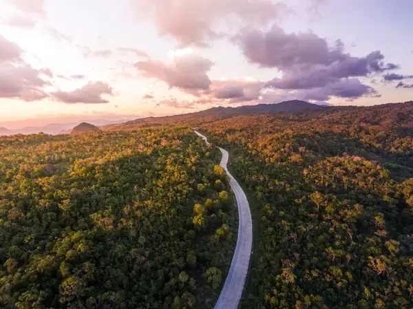 Sunlight Touching the Trees at Aningalan, Antique