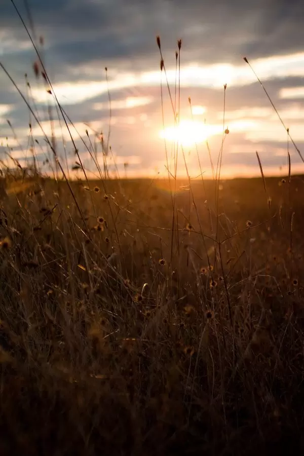 Sunset field landscape,Europe