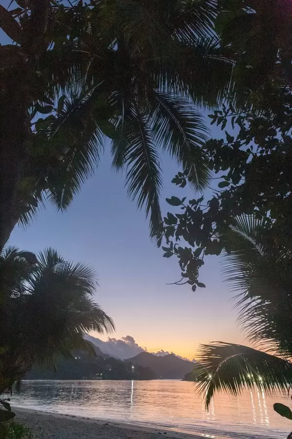 Sunset with palm trees, mountains and the Indian Ocean on La Digue, Seychelles