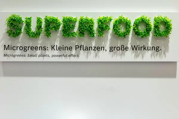 Superfood - Schriftzug mit Microgreens