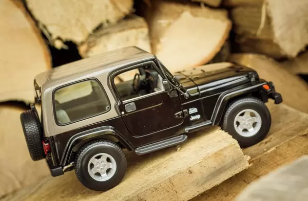 SUV stuck in the forest