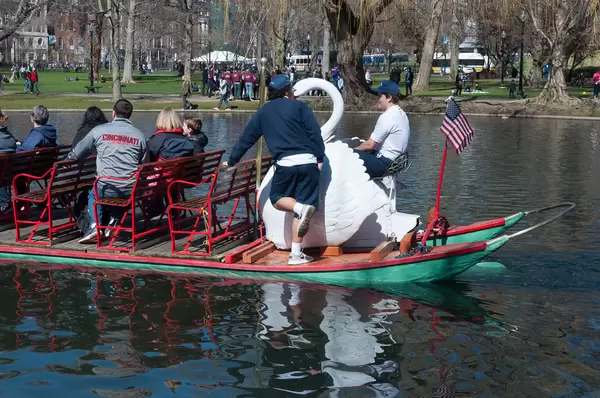 Swan Boats (Schwanenboote) in Boston Public Garden