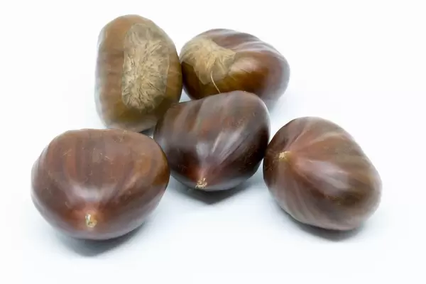 Sweet chestnuts on white background