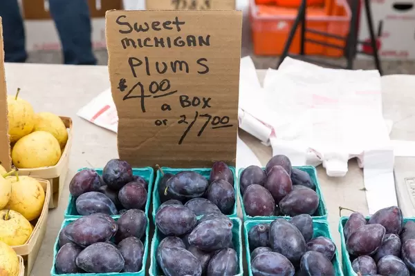 Sweet Michigan Plums - City Market, Chicago