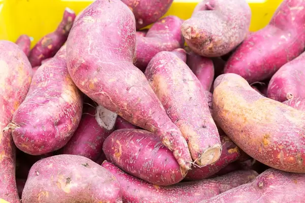 Sweet potatoes - City Market, Chicago