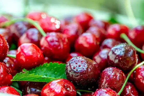 Sweet red cherry background