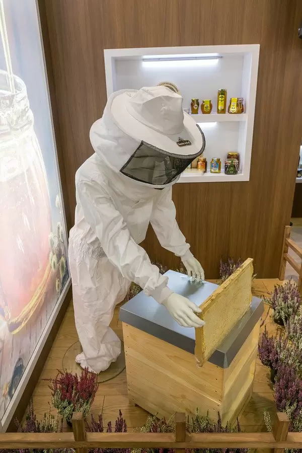 Symbolbild Honigzubereitung: Imker im Schutzanzug am Bienenstock bei der Honigernte