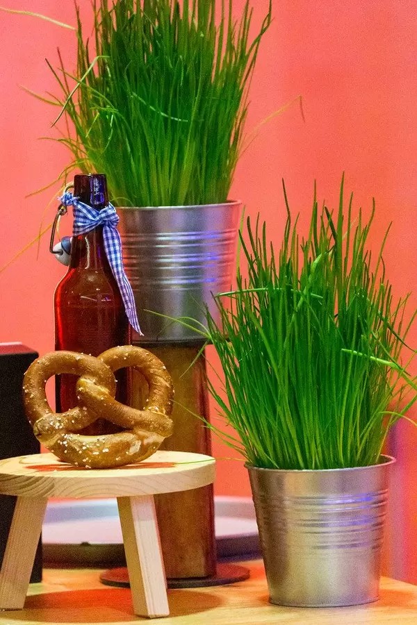 Symbolbild Oktoberfest mit Brezel und bayrischem Bier, neben grünen Pflanzen