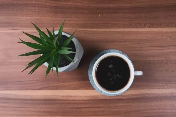 Table with coffee cup and cactus pot