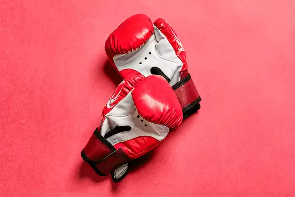 Taekwondo sparring gloves