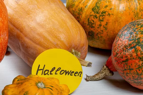 Tag Halloween on a background of ripe orange pumpkins