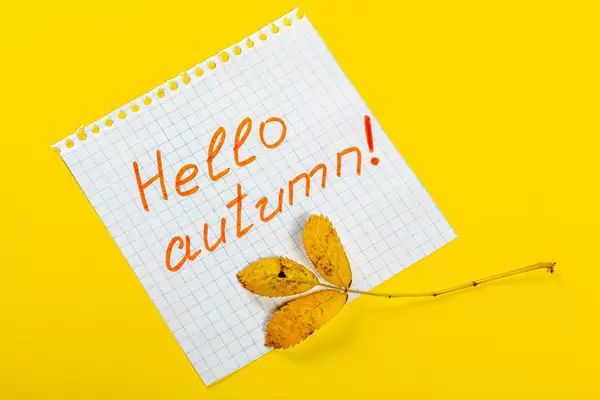 Tag-with-the-words-Hello-Autumn-and-a-colorful-autumn-leaf-on-yellow-background.jpg