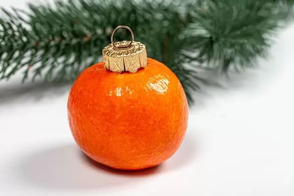 Tangerine fruit on white background with christmas tree branches (Flip 2019)