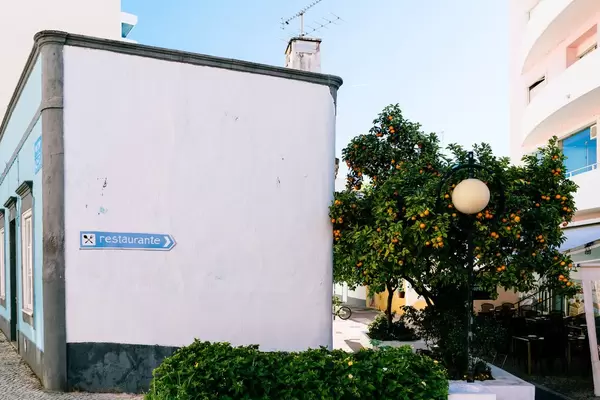 Tangerine tree in the backyard of authentic Portuguese restaurant / Mandarinenbaum im Hinterhof des authentischen portugiesischen Restaurants