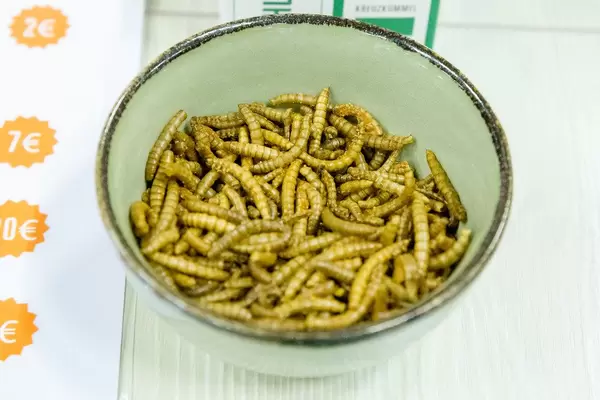 Tasting plates with worms offered by Jimini's at the Fibo Cologne