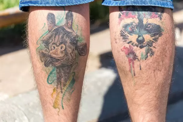 Tattoos von Tieren auf den Unterschenkeln: Giraffe und Waschbär