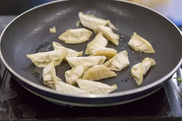 Teigtaschen mit Gemüse von Gyoza