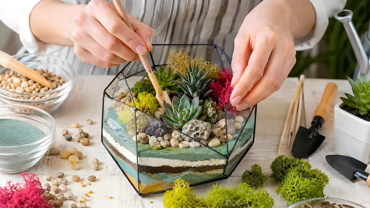Terrarium mit Sukkulenten und Moos selbst gestalten