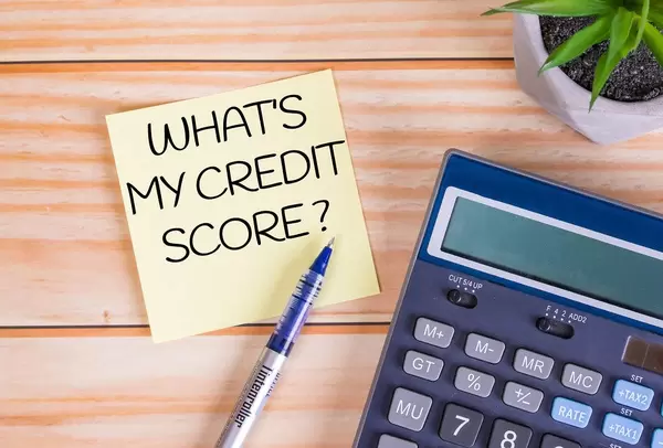 Text What's My Credit Score? auf einer Haftnotiz mit Kugelschreiber, Taschenrechner und Tischpflanze auf einem Holztisch