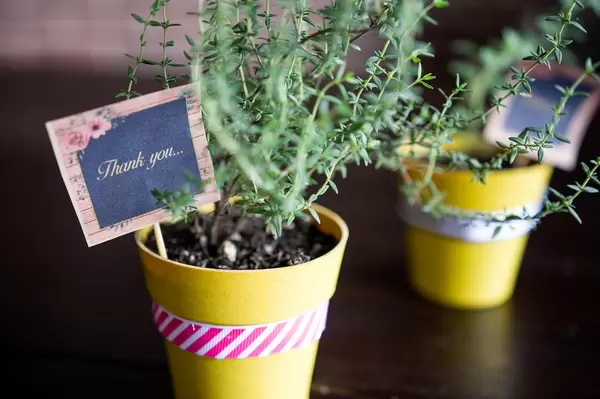 Thank you flower pots