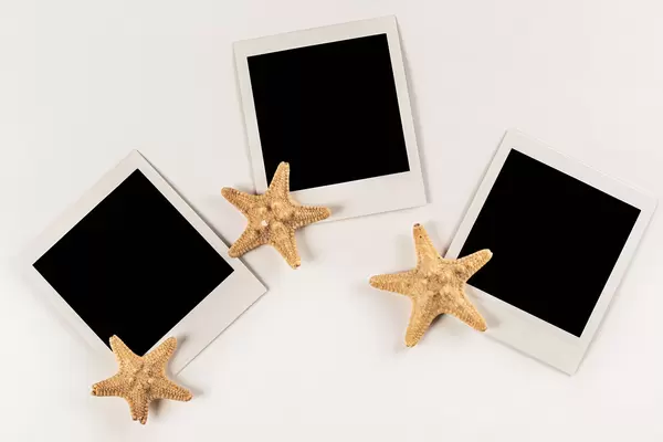 The concept of a photo with a sea vacation for memory