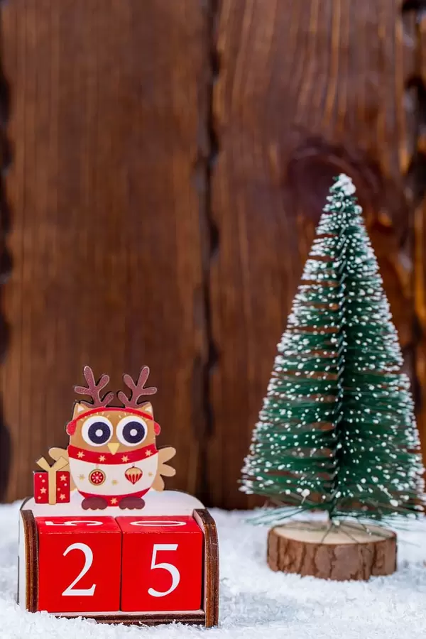 The concept of Christmas eve. Christmas tree on snow background with date 24