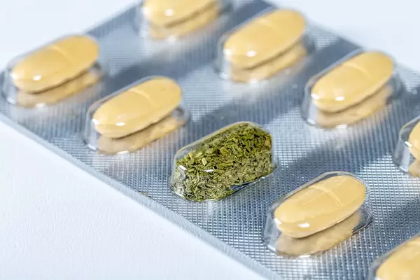 The concept of drugs made from natural plant materials (Flip 2019)