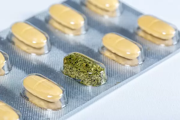 The concept of drugs made from natural plant materials