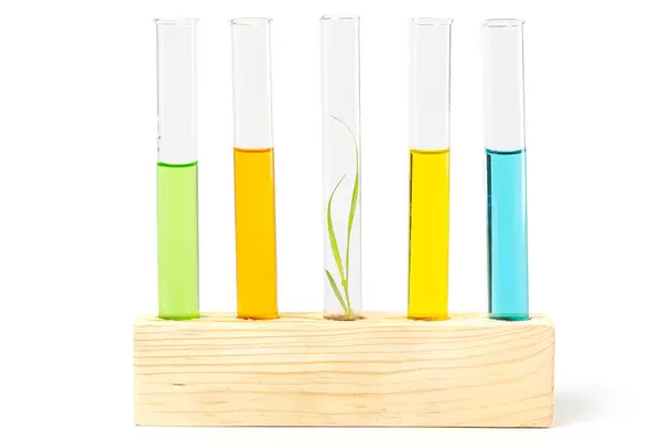 The concept of genetically modified plants and their chemical research